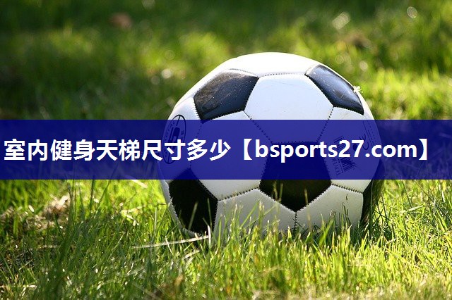 室内健身天梯尺寸多少