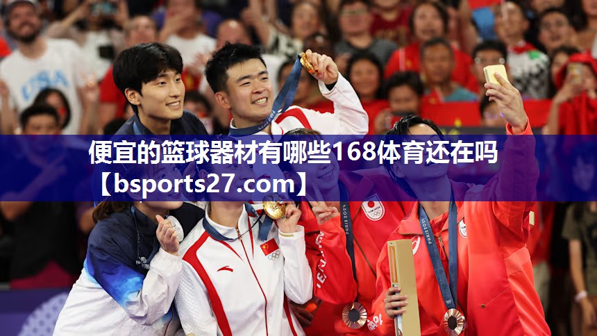 便宜的篮球器材有哪些168体育还在吗