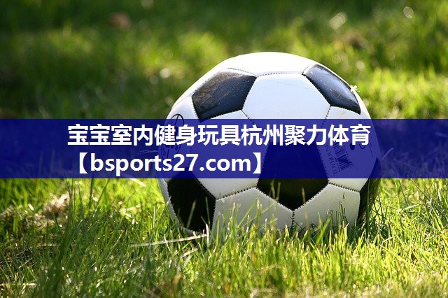 宝宝室内健身玩具杭州聚力体育